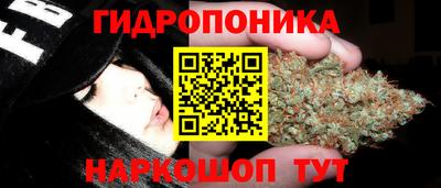гидра Краснокаменск