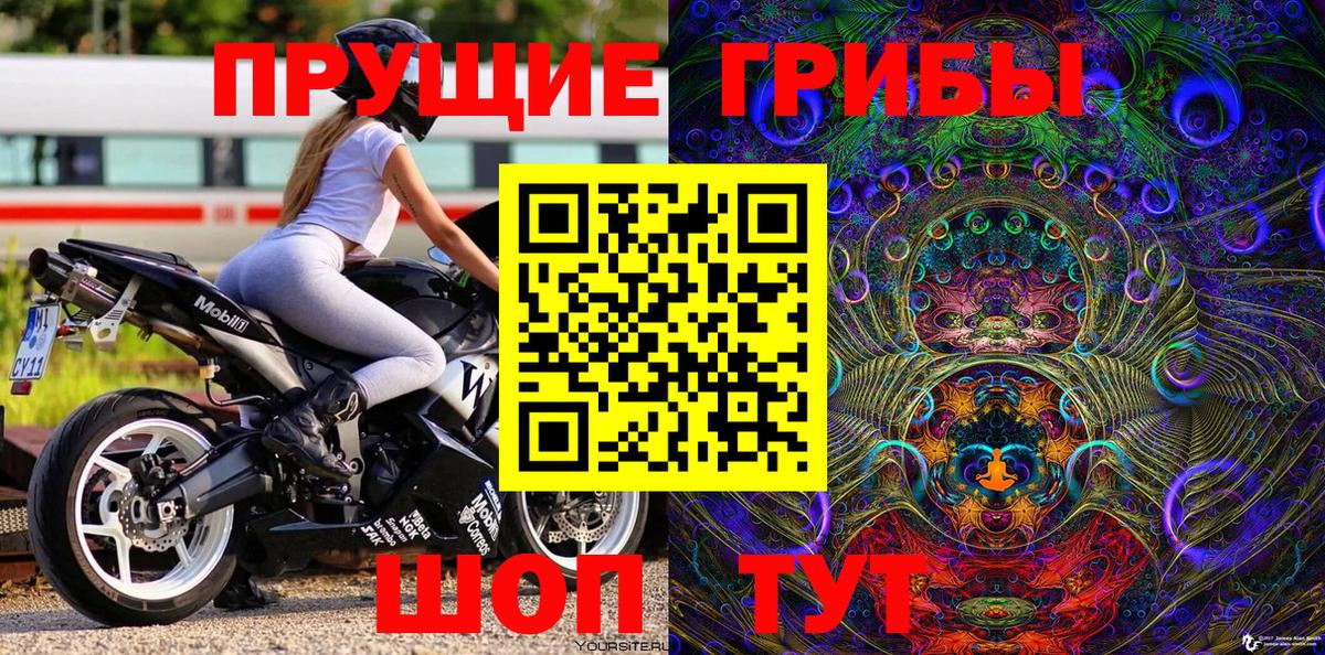 Псилоцибиновые грибы MAGIC MUSHROOMS  Псилоцибиновые грибы MAGIC MUSHROOMS  Вход с VPN  Кимры 